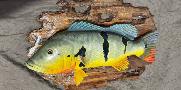 Barragem Santa Cruz em Apodi sediará evento de pesca esportiva neste final de semana