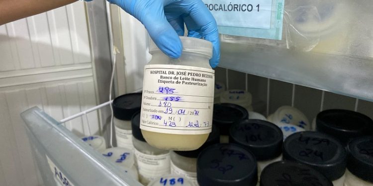 Doações de leite humano no RN beneficiaram quase 6 mil recém-nascidos em 2024
