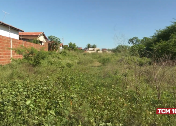 Moradora denuncia matagal no bairro Nova Mossoró