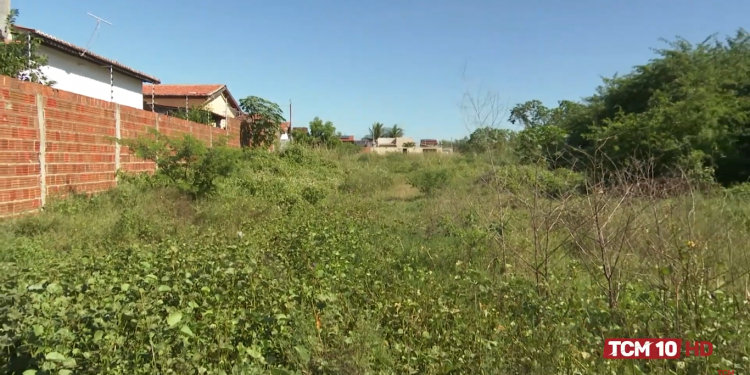 Moradora denuncia matagal no bairro Nova Mossoró