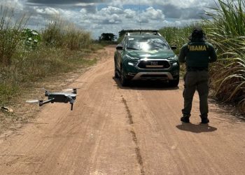Ibama aplica quase R$ 2 milhões em multas e embarga área da Mata Atlântica no Rio Grande do Norte