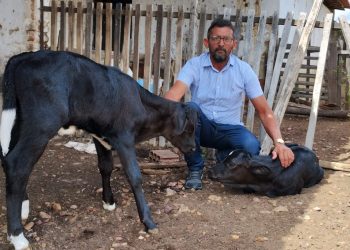 Renovação do ‘Leite e Genética’ fortalece pecuária no Médio Oeste