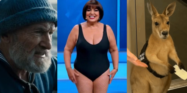 Notícias falsas e deepfake: veja como identificar conteúdo inverídico na internet