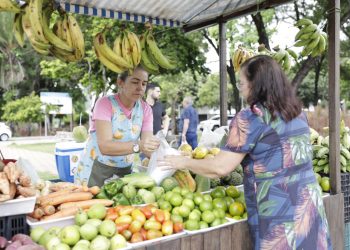 Número de mulheres responsáveis por domicílios no RN é maior que no Brasil