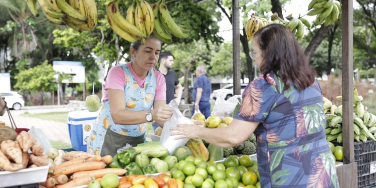 Número de mulheres responsáveis por domicílios no RN é maior que no Brasil