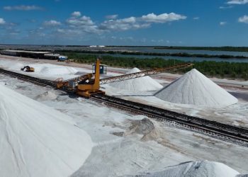 Salinas e pescados devem ser os setores mais afetados pela tarifa de Trump no RN
