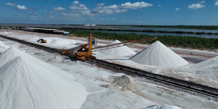 Salinas e pescados devem ser os setores mais afetados pela tarifa de Trump no RN