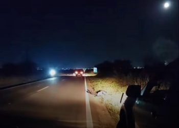 Ciclista morre após ser atropelado por veículo na BR-405, na zona rural de Mossoró