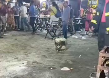 Incêndio em barraca de batata frita deixa quatro feridos no Mossoró Sal & Luz