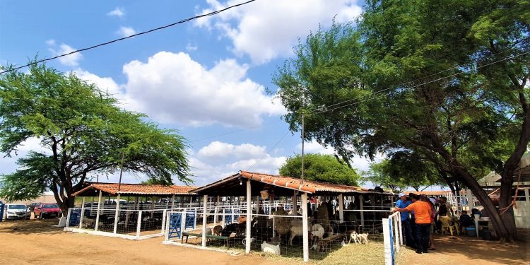 ExpoLajes chega à 29ª edição reunindo agronegócio e cultura