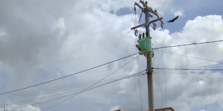 Suspeito de furtar fios da rede elétrica na Costa Branca é preso pela Polícia Civil no Piauí