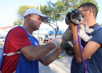 Vacinação antirrábica: quase 3 mil cães e gatos foram imunizados durante o fim de semana em Mossoró