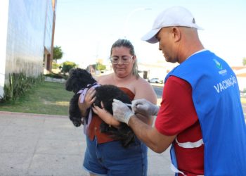 Mossoró vai realizar “Dia D” de vacinação antirrábica