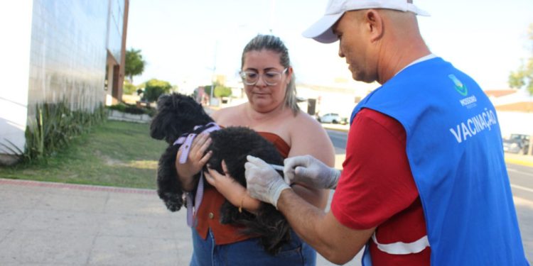 Mossoró vai realizar “Dia D” de vacinação antirrábica