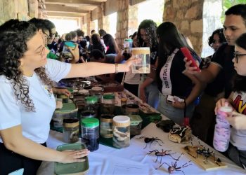 Uern convida estudantes do Ensino Médio a participarem da Feira das Profissões