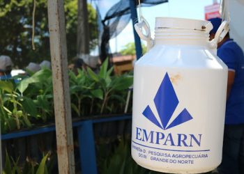 Governo convoca candidatos do concurso da Emparn para avaliação de títulos