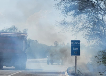Mossoró registra 28 incêndios florestais nos primeiros dias de outubro