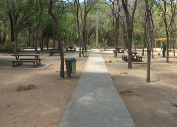 Parque Municipal vai sediar complexo ambiental multi-institucional